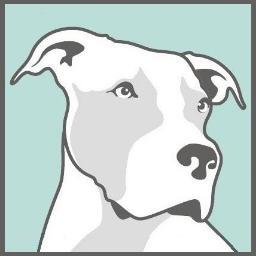 Ambassador Alliance Profile