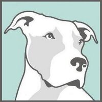Ambassador Alliance (@apba) 's Twitter Profile