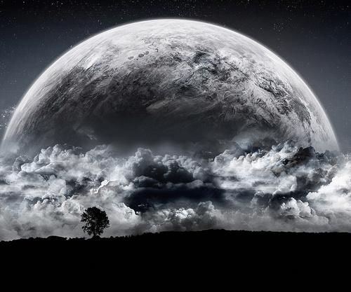 eMichaelRiva's profile picture. 