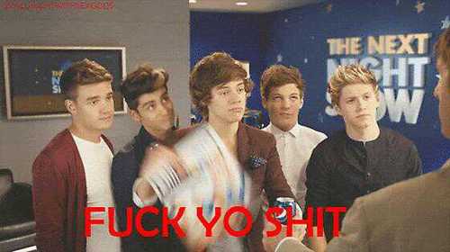 Once a Directioner, always a Directioner