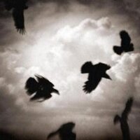 K Vaughan (@aberlour) 's Twitter Profile