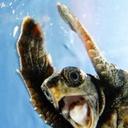 Melissa Visser - @Missviss379 - Twitter