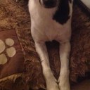 Hannah crouch - @crouch_potato17 - Twitter