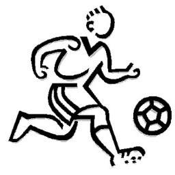 La Liga de Fútbol en España, Primera División, 2ª, 3ª, Champions League, Europa League, Eurocopa, Mundial, fútbol internacional, fútbol en Europa y Sudamérica.