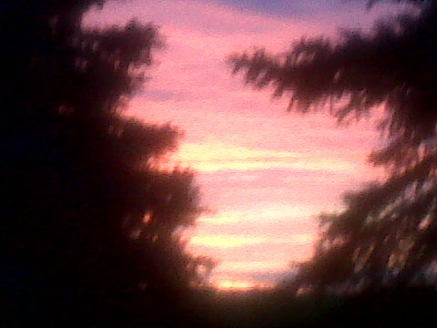 detroitdusty16's profile picture. some of the best lessons learned are from past mistakes. The error of the past is the wisdom of the future