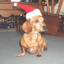 Brad Lacy - @bradlacy - Twitter