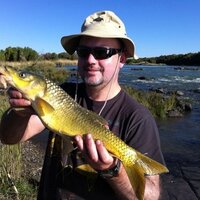 Charles Smith (@mauser22) 's Twitter Profile
