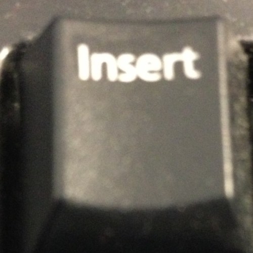 edcarrier's profile picture. 