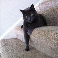 Mollie is Jollie (@mollieee) 's Twitter Profile