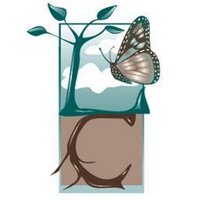 Levi Creek PS (@levicreekps) 's Twitter Profile