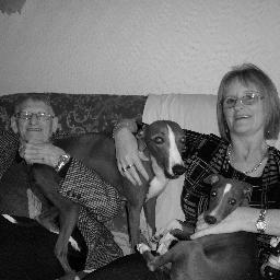 proppsey13's profile picture. I love wild life love this morning,love Gok Wan  love reading Autobiographies love peter kay  love anything funny  got 2 blue Whippets(dogs)