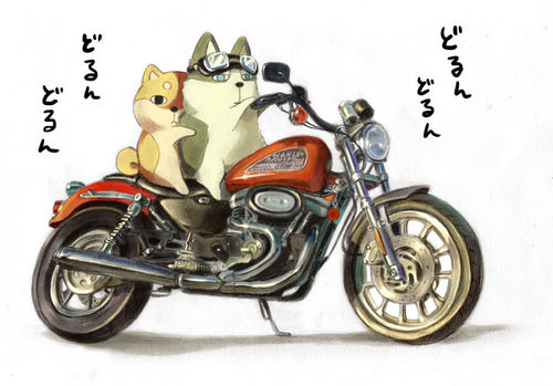 岩登りや沢登りをまったりと。ときどき海外をぷらぷら。偽物のタイ人。犬とゴキブリが苦手。