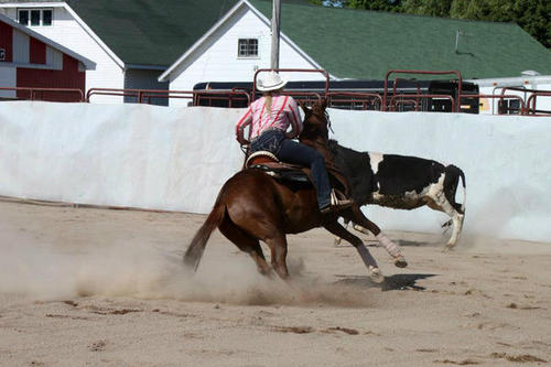 the everyday laughs and mishaps of owning and/or loving a Quarter Horse♥  #TeamAQHA *The Original QH Anon*