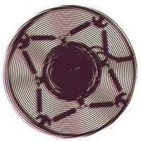 Ethnog' Terminalia (@ethnoterminalia) 's Twitter Profile