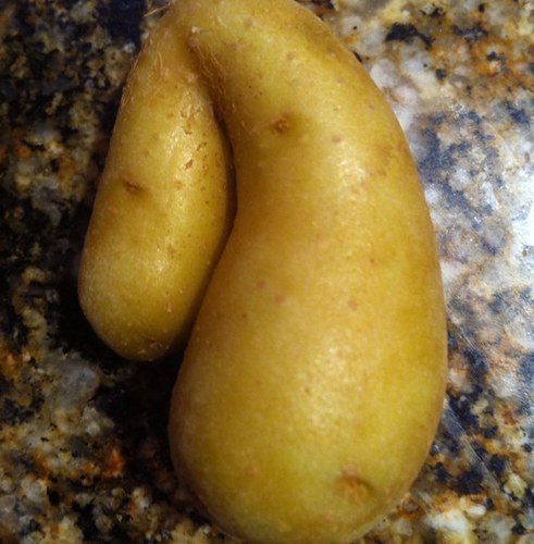 Potatopreacher's profile picture. Not your average potato, from out the ground i came
Not just a silly veggie. We're not all the same
This is not a starchey joke! Listen, my following folk