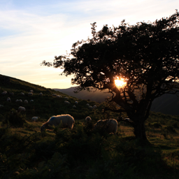 txiktxik's profile picture. 