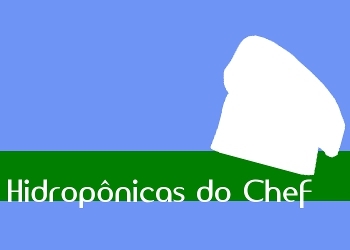 Hidroponia : Hortaliças de qualidade e sempre à mão na hora que você precisa.