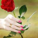 semray yavuz (@1959sy) Twitter
