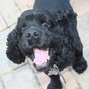 Beau Jimenez - @BeaufordJimenez - Twitter