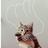 Ohnolopuedocree's profile image