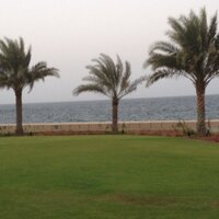 سلمان الشمروخ (@slman_sh) 's Twitter Profile