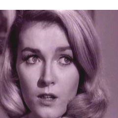 MissSinclairx's profile picture. i am Linnet's Secretary