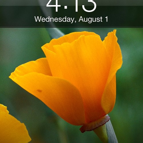 reed102201's profile picture. 