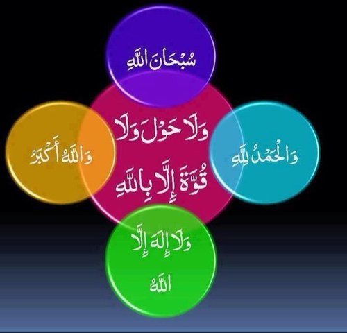 غرد ي مغرد