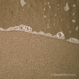 QuellaRaffica's profile picture. Audio racconti di un itinerario in barca a vela tra le isole dell'Arcipelago Maddalenino.Le parole del viaggio reale che segue le mappe interiori di se stessi.