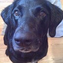 Kyle Baugh - @kb420j - Twitter