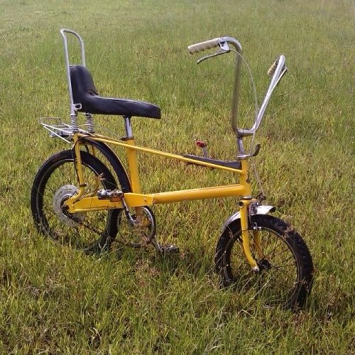 semi-pro kite pilot