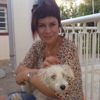 Makbule Dūndar (@makbulenil) 's Twitter Profile