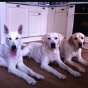 Trudy Schneider - @schneider_trudy - Twitter