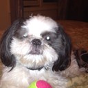 Bobbie Wilson - @BobbieWilson03 - Twitter