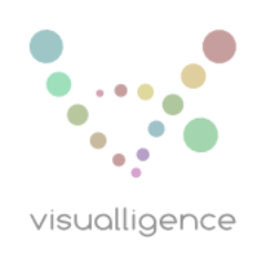visualligence's profile picture. visual analytics the easy way
