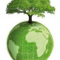 plantalo org (@plantaloorg) 's Twitter Profile