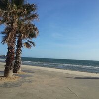 Dr.fmf (@drfaiza5) Twitter profile photo