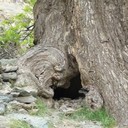 Camille Colomb - @MilleColomb - Twitter