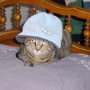 Lucy Wallace - @lucykarinna - Twitter