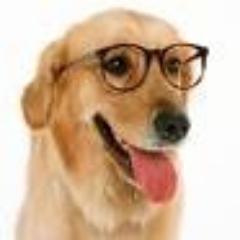 Trabajo para los animales....pertenesco a una ONG, estoy en contra del maltrato animal en todas sus formas,y respeto sus derechos...AMO LOS ANIMALES-