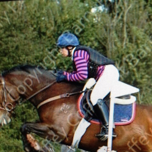 Michell69415009's profile picture. 