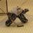 gallinger_31's profile image