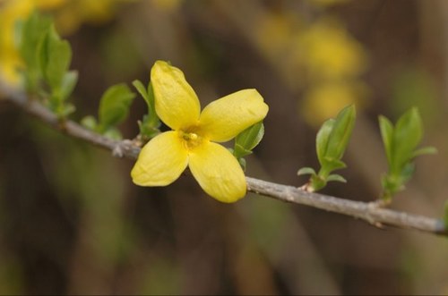 MorganreportEd's profile picture. 이승복열사가 살아계셨다면 나는 똥누리당과 똘마니들 (생쥐대왕,반닭근혜,조중동,방문진,정치검찰,똥누리알바단, 그리고 지지리도 모자란 이런 그들의 지지자들)이 싫어요! 라고 외친후 똥누리당에게 고소당하고 빨갱이로 낙인찍히지않으셨을까? ... ... ... 라고 씁쓸한 상상을 해본다.