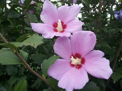 8036106's profile picture. 자유대한민국을 만들어갑시다.건전하고 부패하지 않는 신실한 우익을 좋아 합니다.