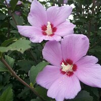 두류산 (@8036106) 's Twitter Profile