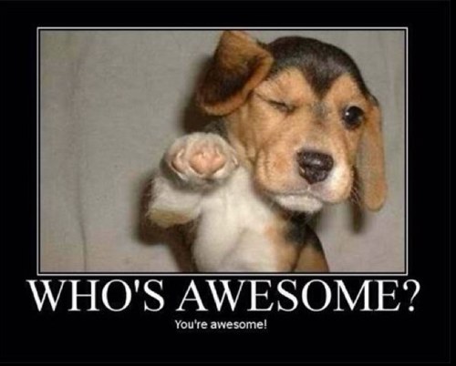 cbass1109's profile picture. 线下纯博彩代收付。1线上确认资料，卡可以操作 2.安排就近面对面操作 3.佣金当天现场结清 4.不方便同台可以邮寄 5.卡不限额可长期稳定做！对接：https://t.co/mbcJdfDE4D  QQ:3789532622