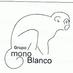 Grupo Mono Blanco (@monogil1) Twitter profile photo Grupo Mono Blanco (@monogil1) Twitter profile photo