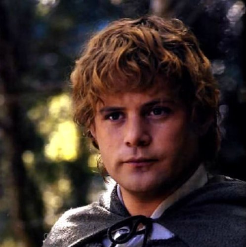 Faithful, honest and always happy to help. Mr. Frodo's gardner, and best friend. Happily married to Rosie Cotton.