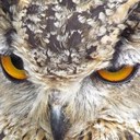 Erez Dror - @drorez - Twitter