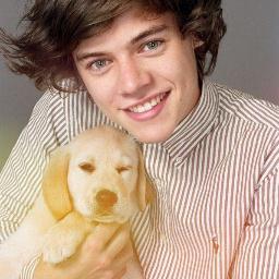 one direction